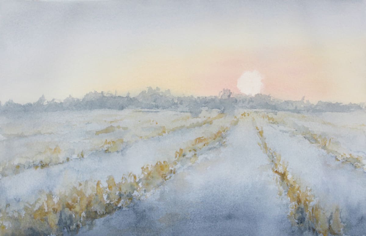Sunrise snow, cornfield 