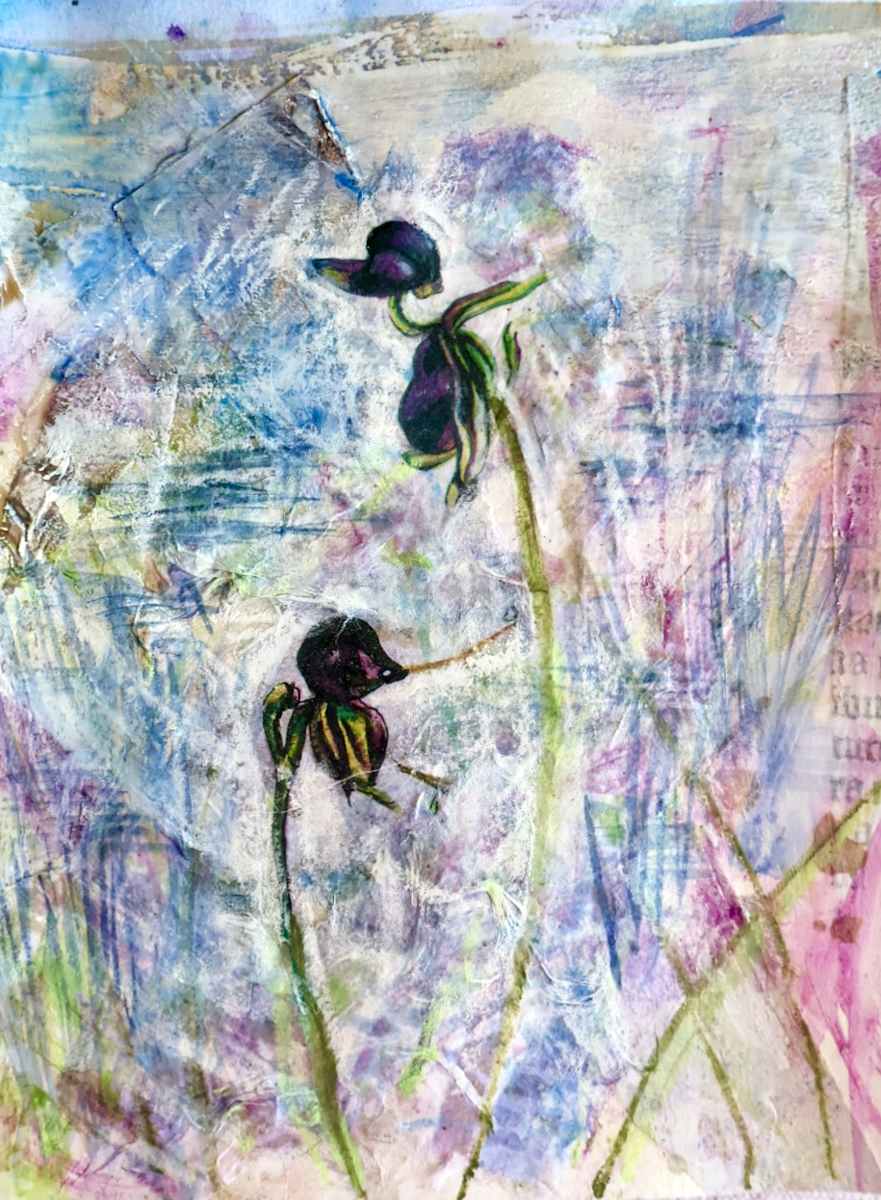 Flying Duck Orchid 11 by Gemma Kennedy 