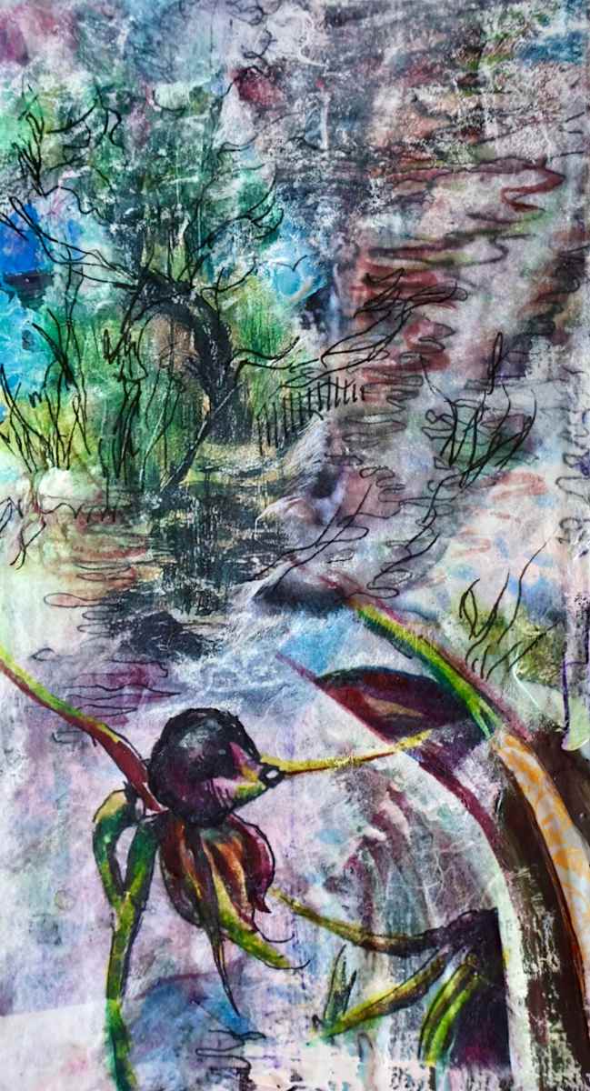 Flying Duck Orchid 6 by Gemma Kennedy 