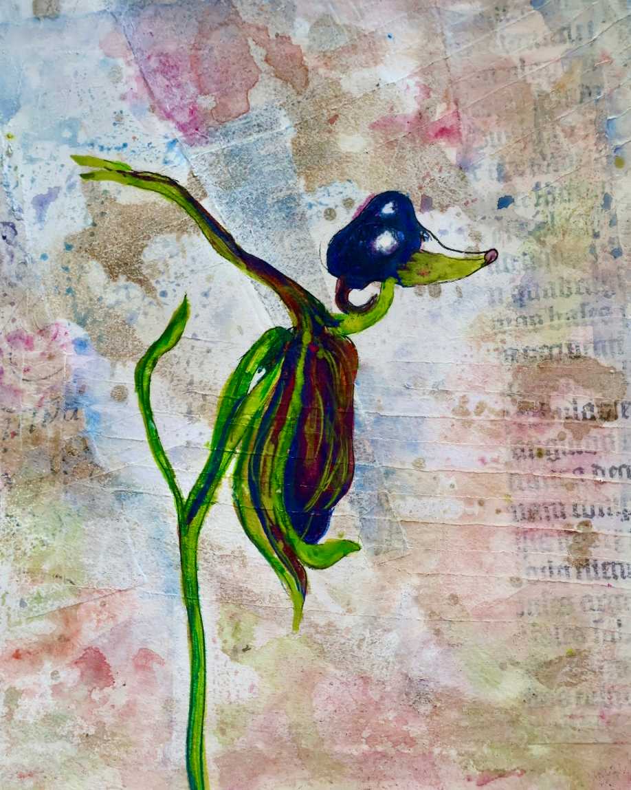 Flying Duck Orchid 5 by Gemma Kennedy 
