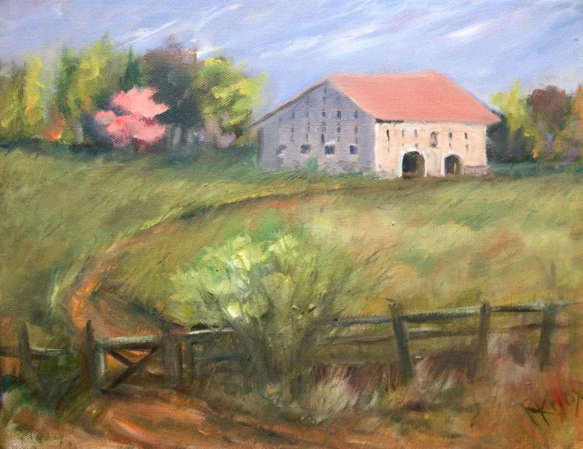 The Rare Slit Barn by Robin Knox 