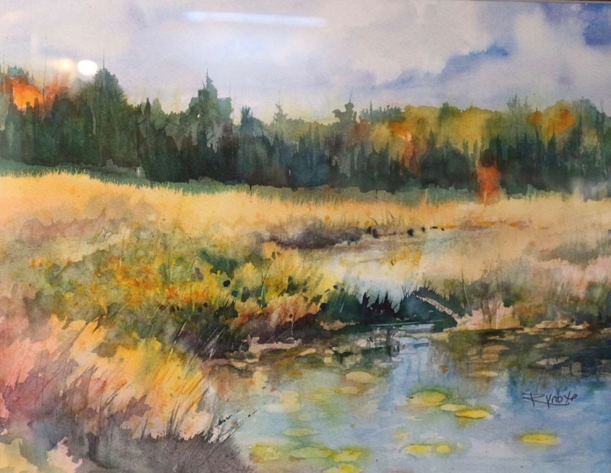 Spruce Bog Delights by Robin Knox 