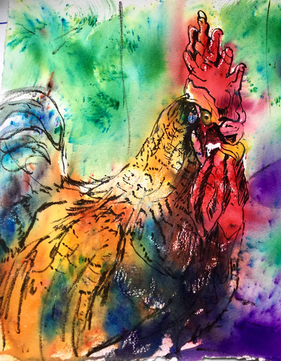 Rooster Cockburn by Robin Knox 