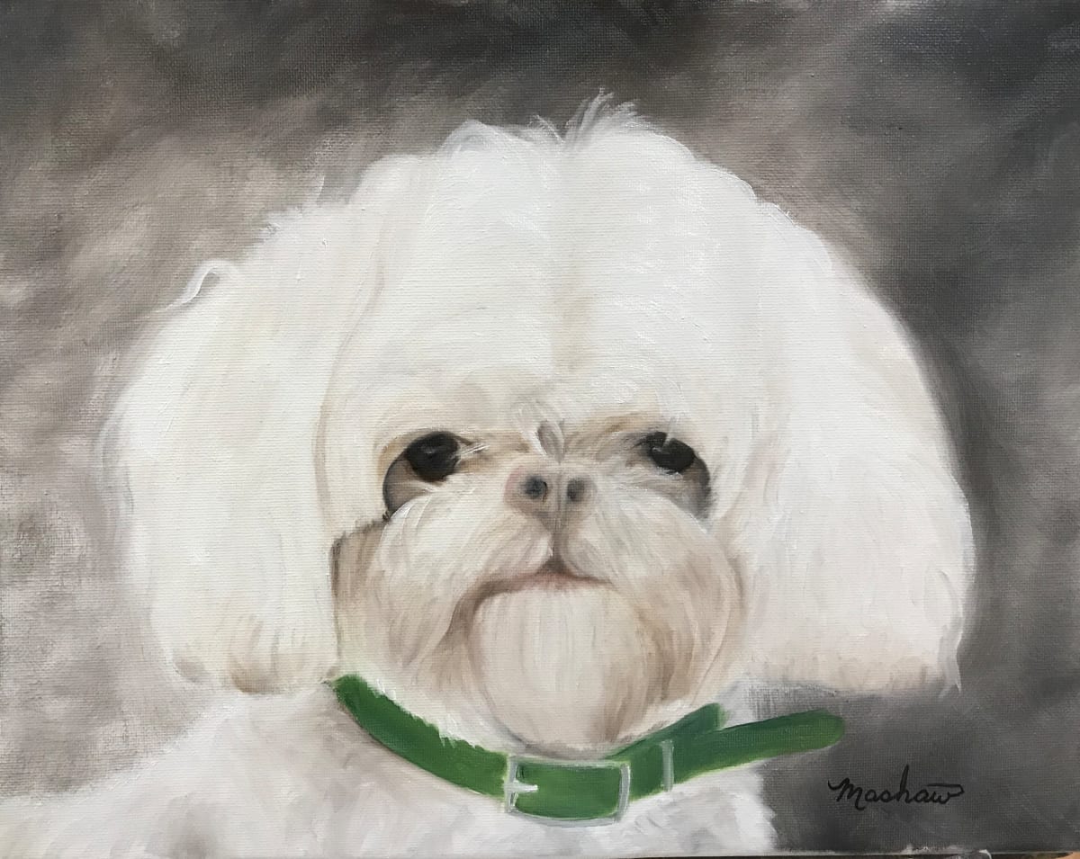 Meet Charlie by Sheila Mashaw, Image 1.
