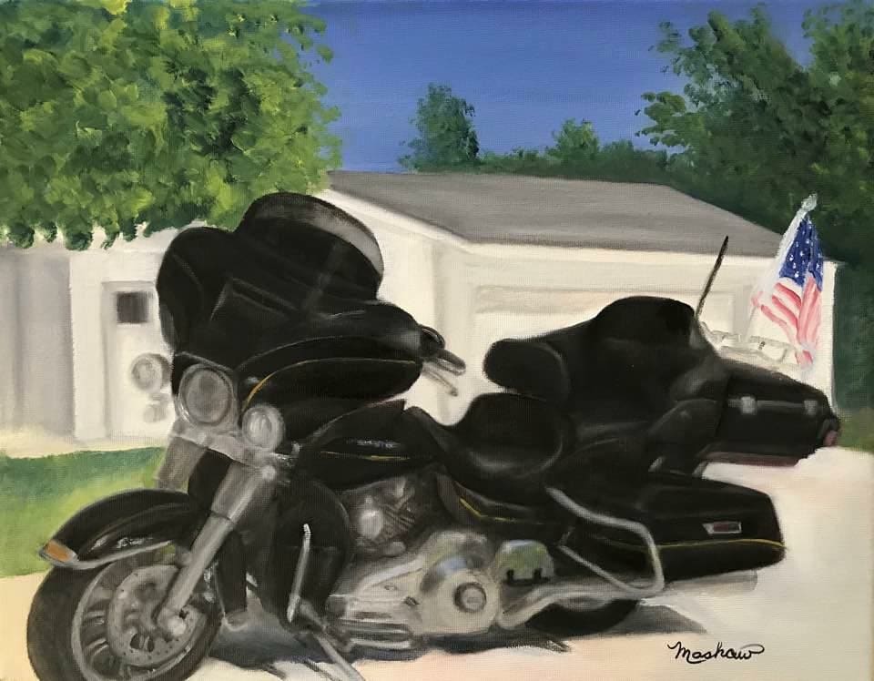 Ultra Limited by Sheila Mashaw, Image 1.