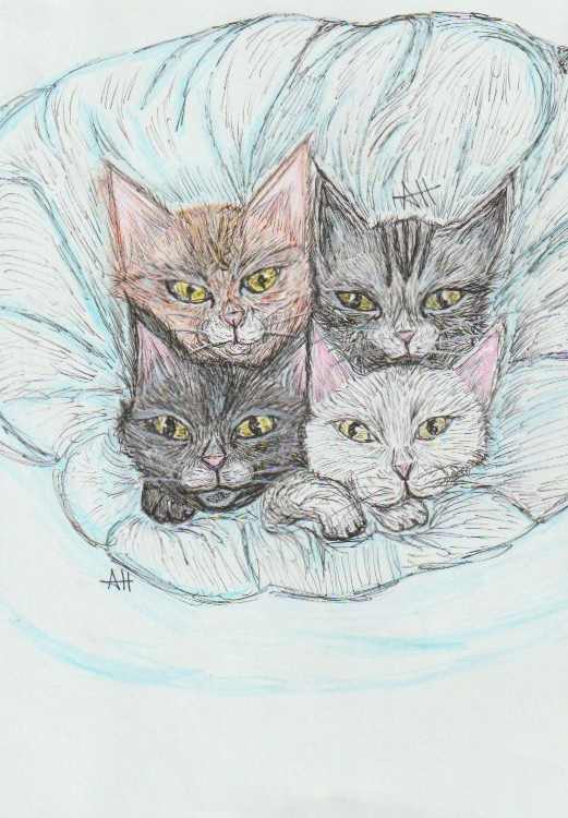 Four Kittens by addison harper, Image 1.