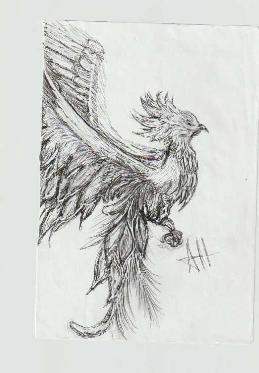 Bird by addison harper, Image 1.