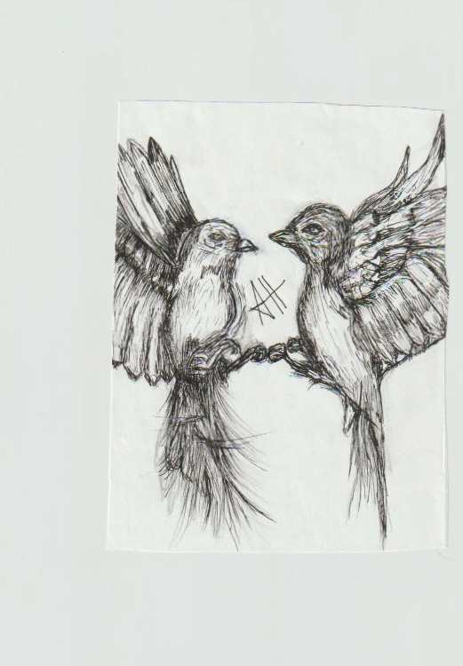 Birds by addison harper, Image 1.