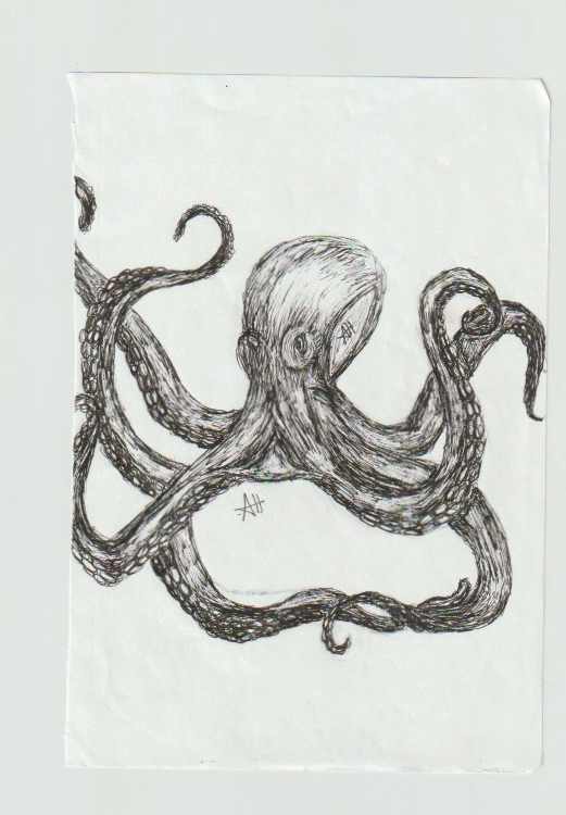 Octopus by addison harper, Image 1.