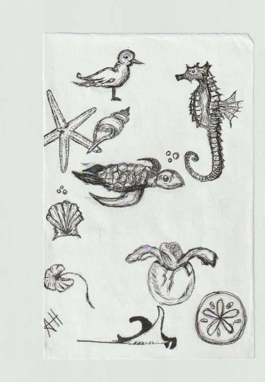 Sea Creatures by addison harper, Image 1.