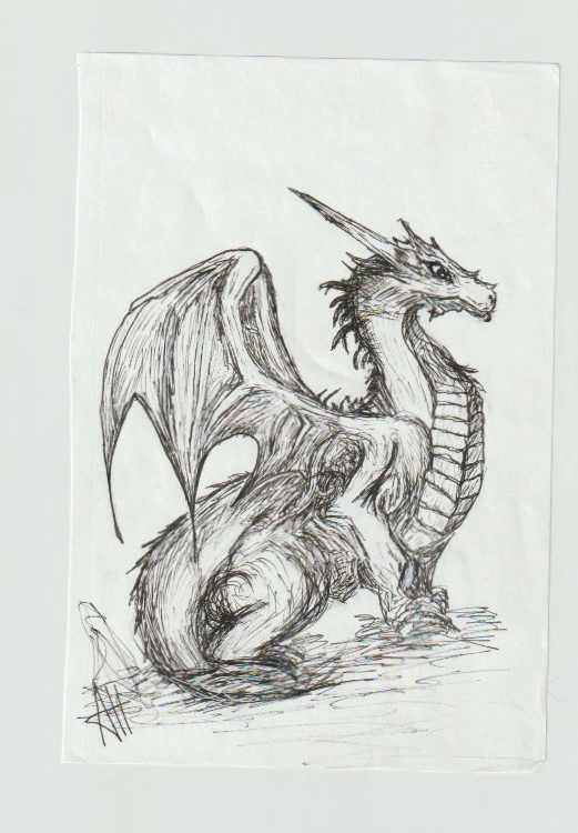 Dragon by addison harper, Image 1.