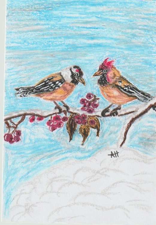 Snow Birds by addison harper, Image 1.