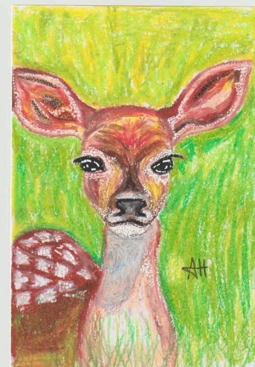 Innocent Deer by addison harper, Image 1.