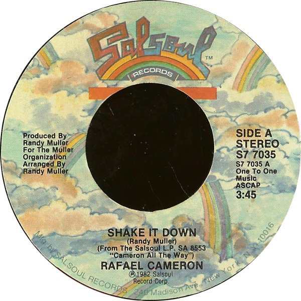 Shake It Down  by Rafael Cameron, Image 1.