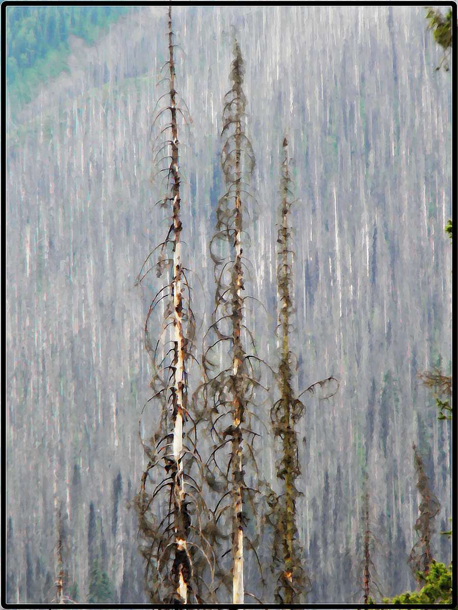 The Kootenay Burn - A Four Seasons Series - #28 by James McElroy, Image 1.