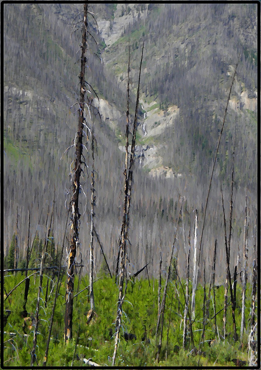 The Kootenay Burn - A Four Seasons Series - #29 by James McElroy 