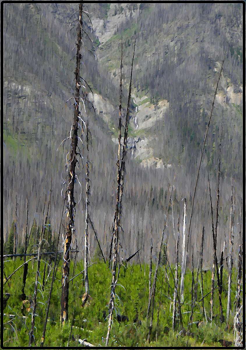 The Kootenay Burn - A Four Seasons Series - #29 by James McElroy, Image 1.