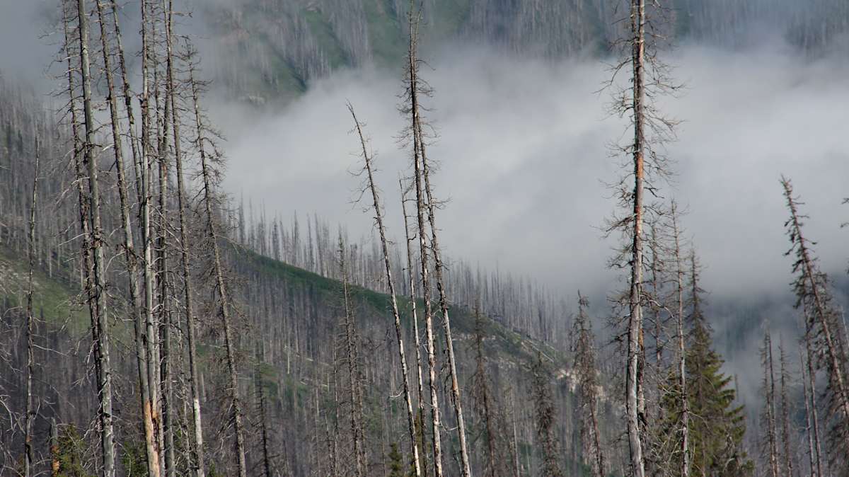 The Kootenay Burn - A Four Seasons Series - #34 by James McElroy, Image 1.