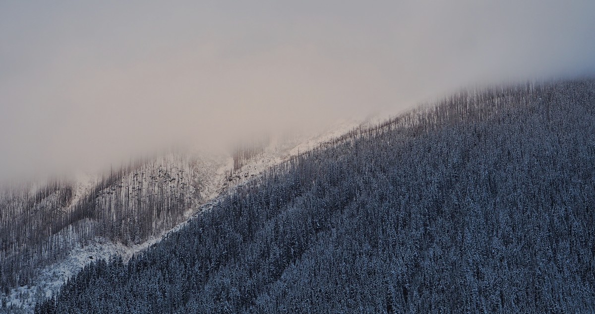 The Kootenay Burn - A Four Seasons Series - #33 by James McElroy 