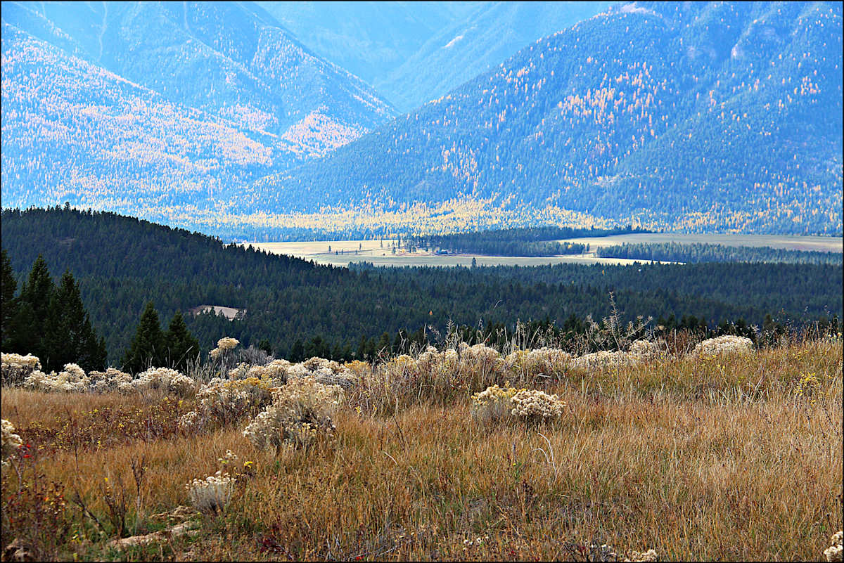 My Meadow II - #6 by James McElroy, Image 1.