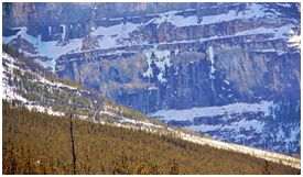 Kootenay Burn - A Four Seasons Series Image #10 by James McElroy, Image 1.