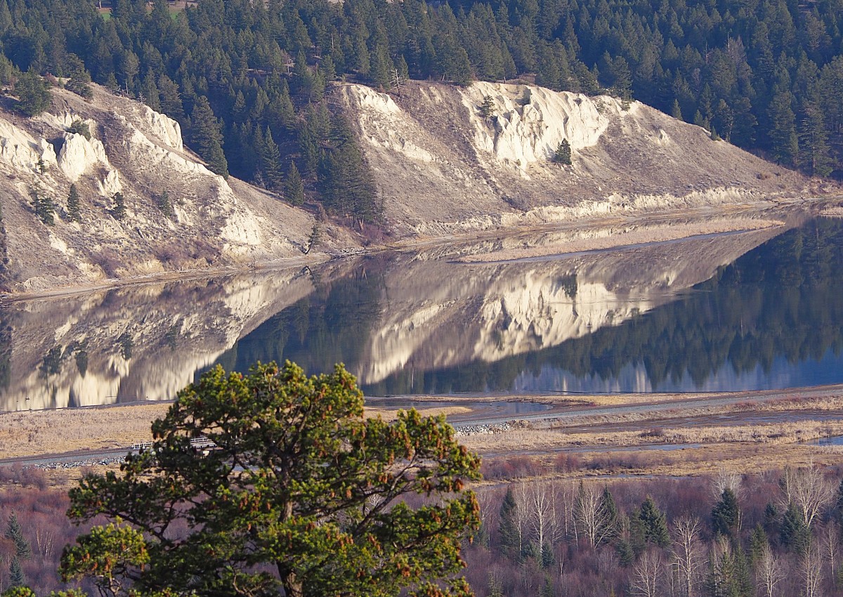 Columbia Valley Wetlands by James McElroy 