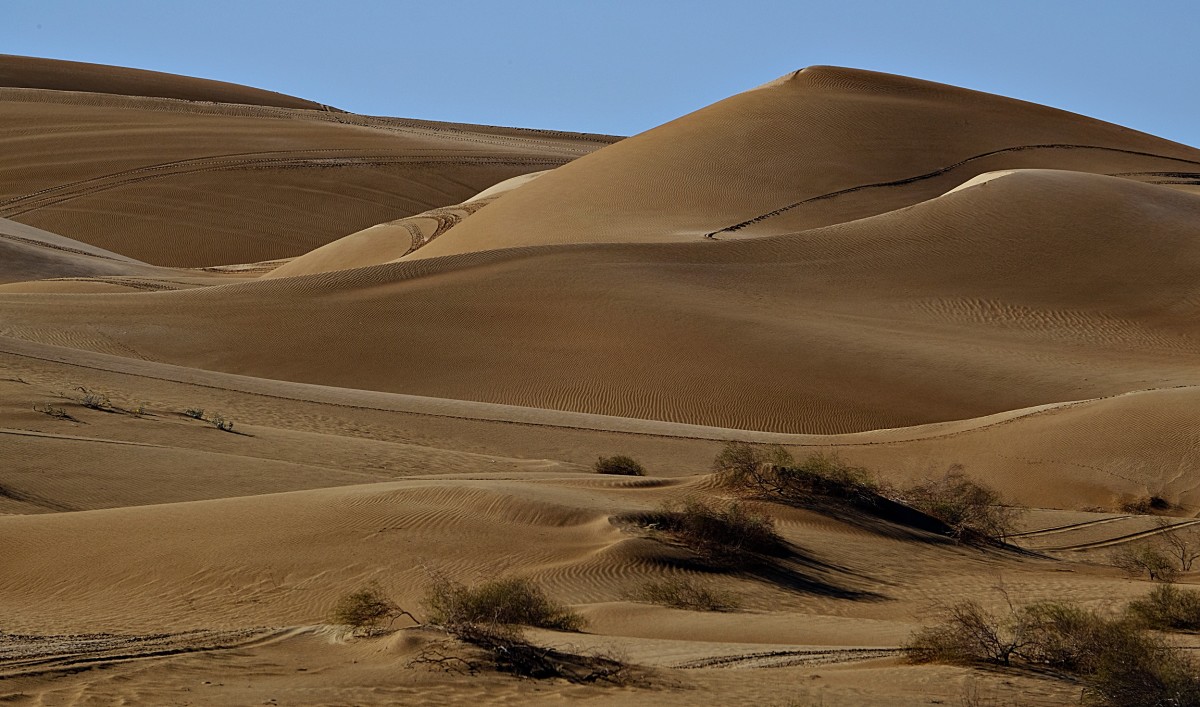 Sand Dunes, Yuma, Arizona #60 by James McElroy 