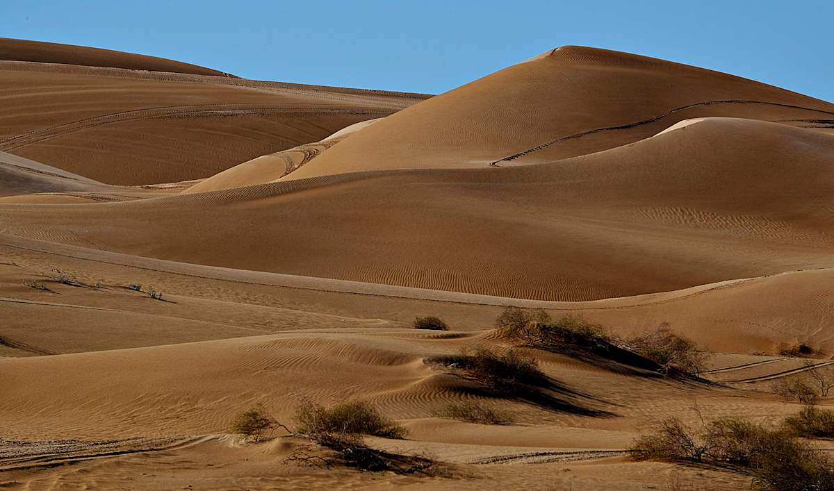 Sand Dunes, Yuma, Arizona #60 by James McElroy, Image 1.