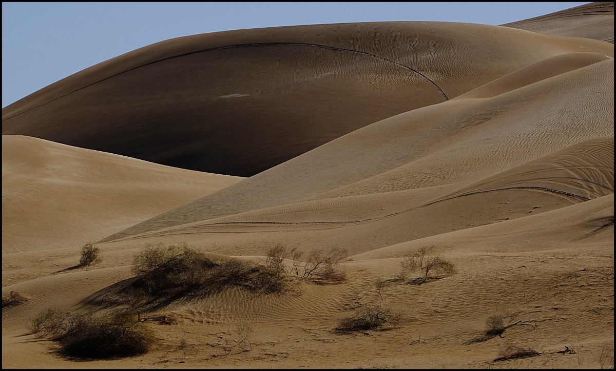 Sand Dunes, Yuma, Arizona #71 by James McElroy 
