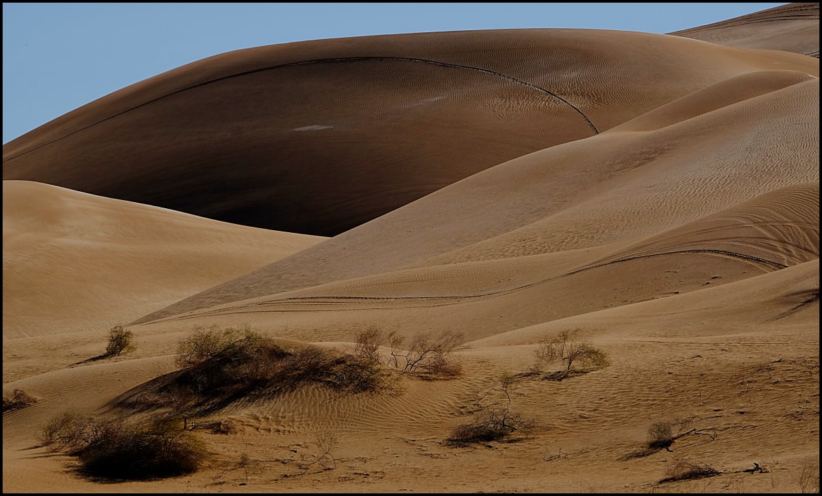 Sand Dunes, Yuma, Arizona #71 by James McElroy, Image 1.