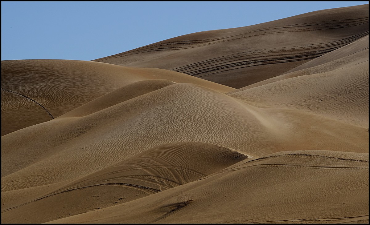 Sand Dunes, Yuma, Arizona #79 by James McElroy 