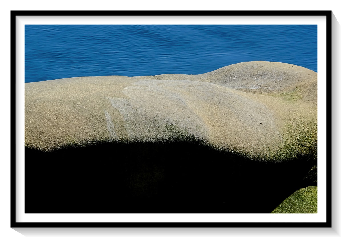 The Grandfather Series - Galiano Island 2019 - 7 - Photoboard Edition #1 