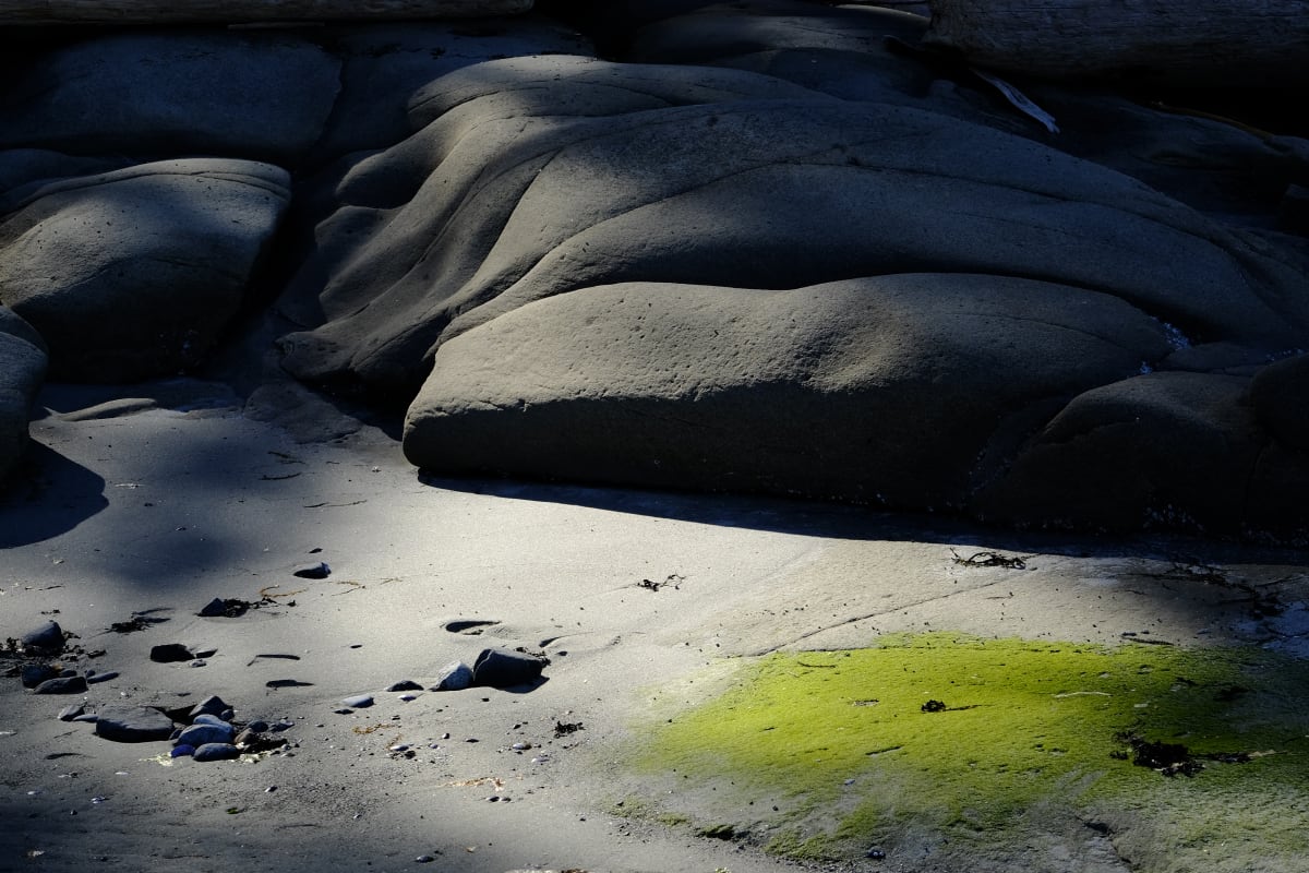 The Grandfather Series - Galiano Island 2019 -15, Image 1.