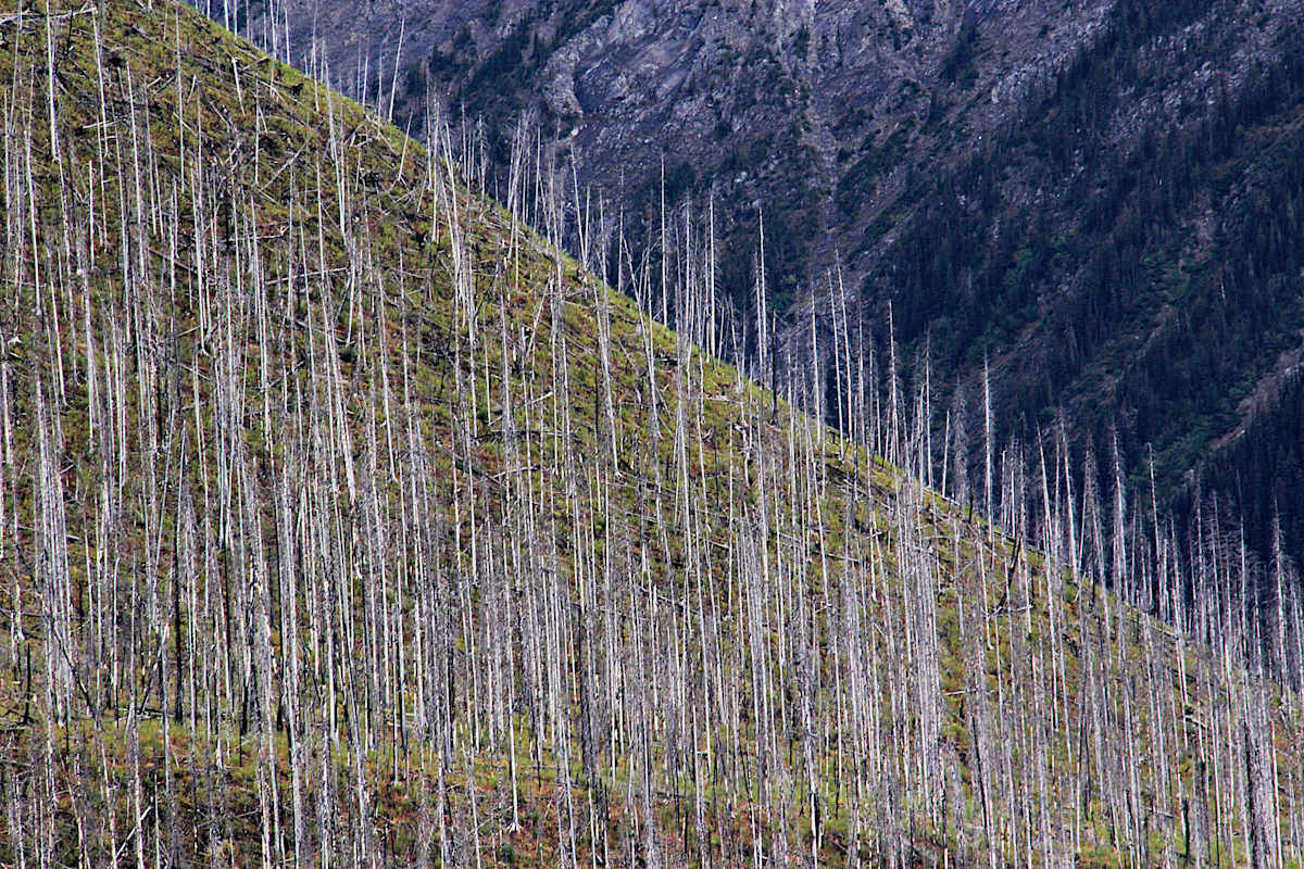 The Kootenay Burn - A Four Seasons Series - #14 by James McElroy, Image 1.