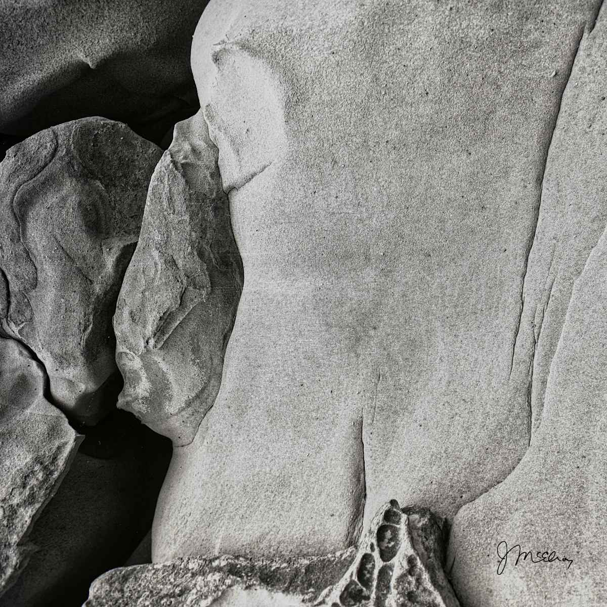 Perceptions 22 by James McElroy, Image 2.
