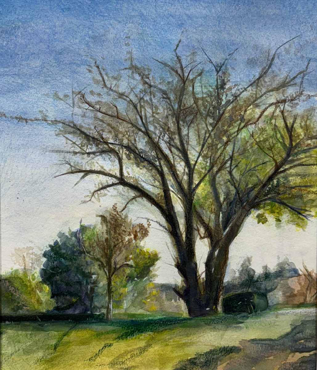 Untitled by Shailynn Reyes, Image 3.
