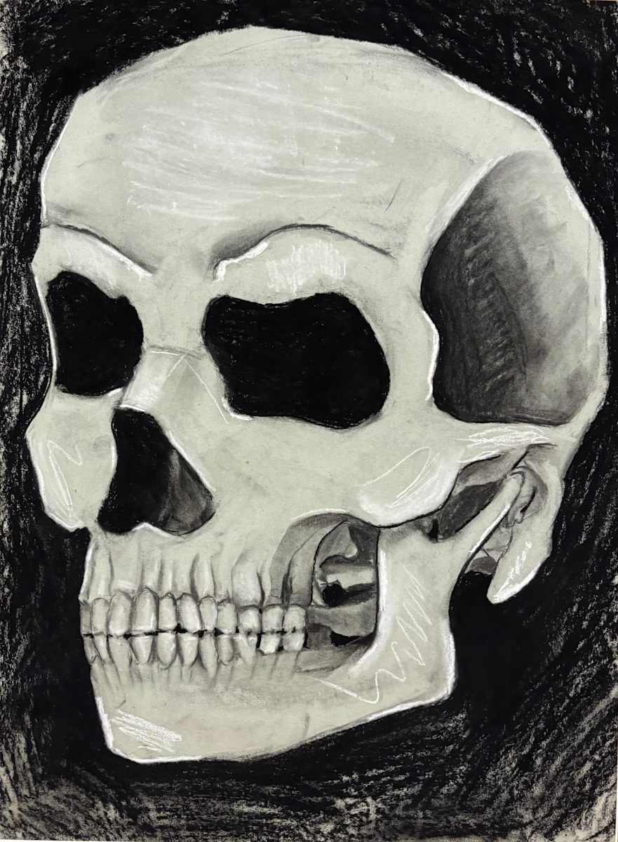 Skull 1 by Aniyah Mangum, Image 15.