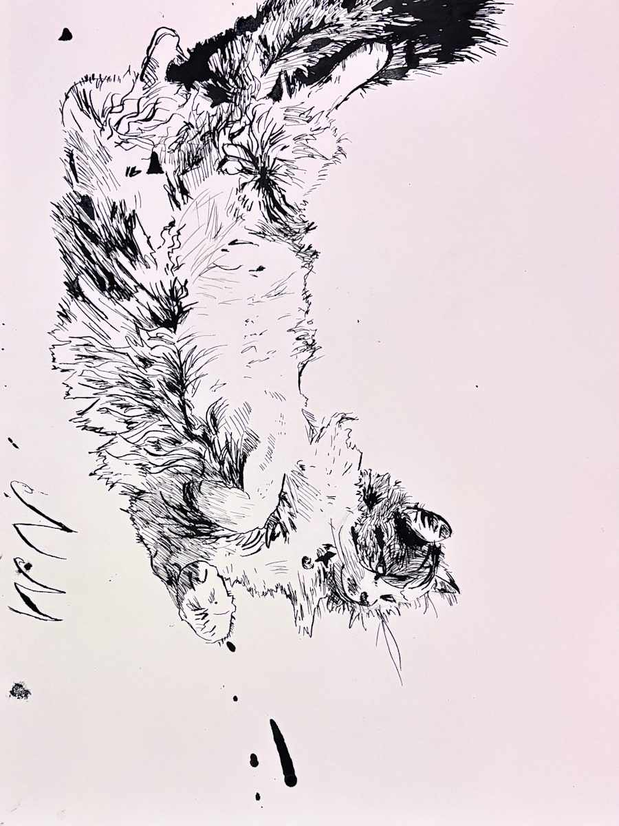 Lando 1 by Nicholas Moffett, Image 1.