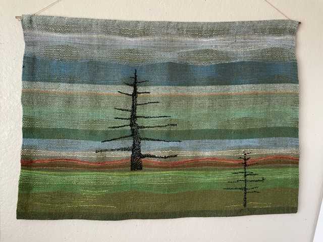 Enduring Spruce by Laurie Steger and Norma Smayda, Image 5.