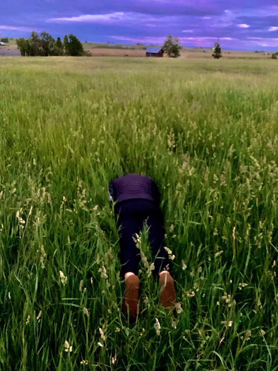 Summer Solstice Earth Embrace by Betsy Ritz 