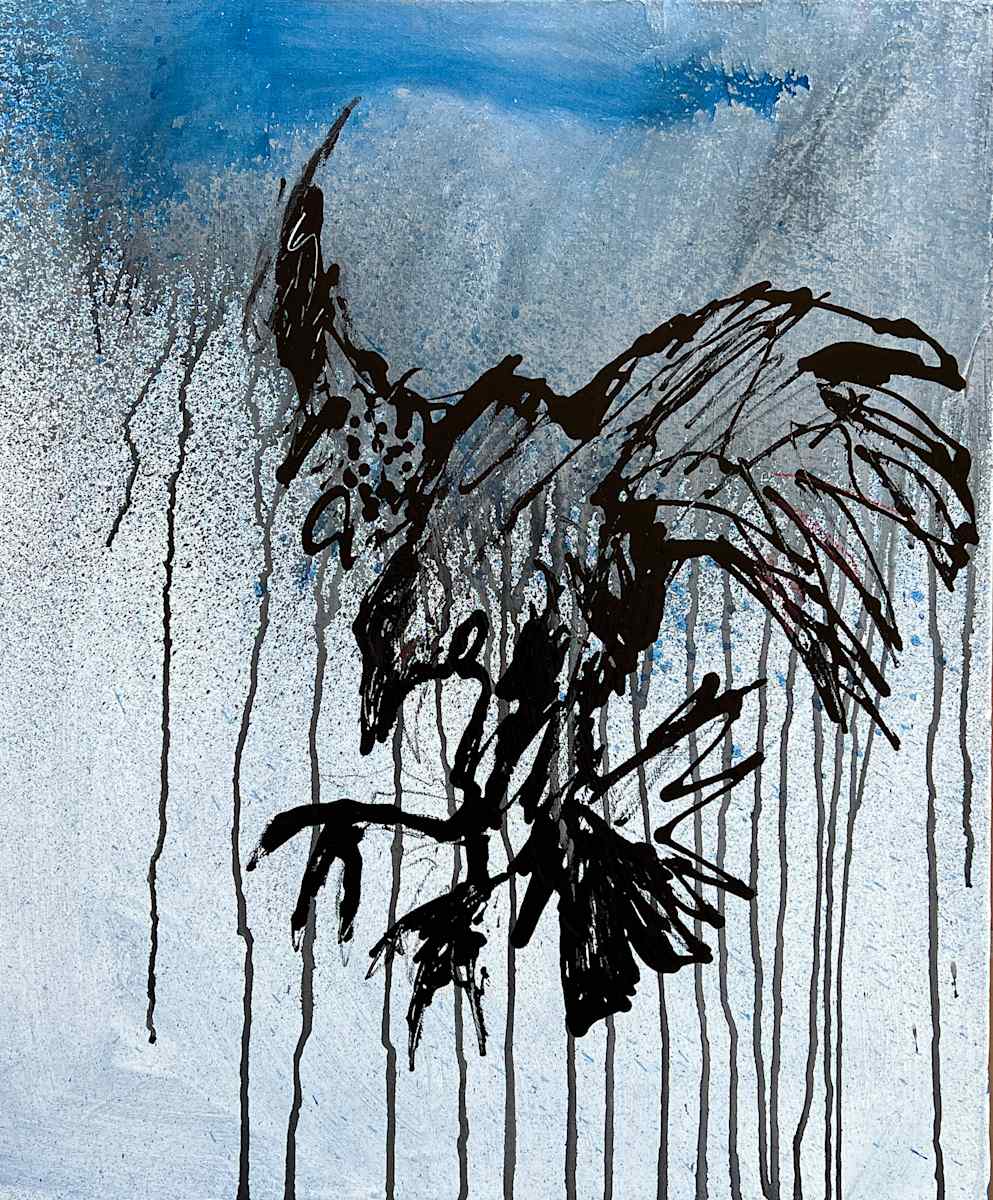 Fly by Gregory Siff, Image 1.