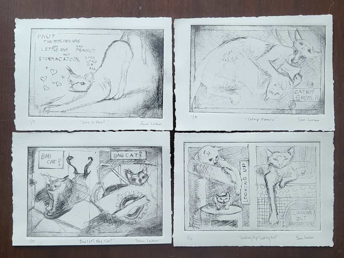 Pnut Intaglio Studies by Sam Larson 