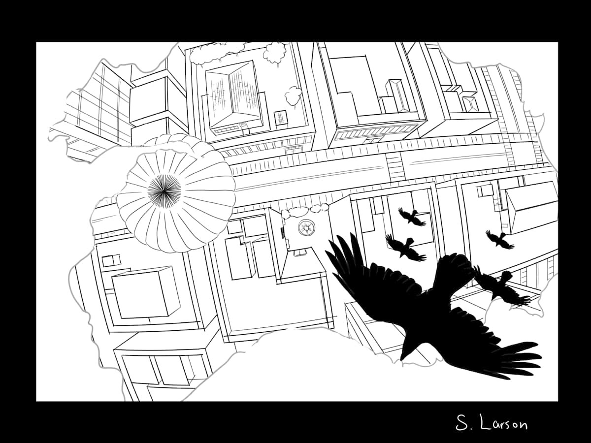 Fish-eye Line Drawing Sample : by Sam Larson 