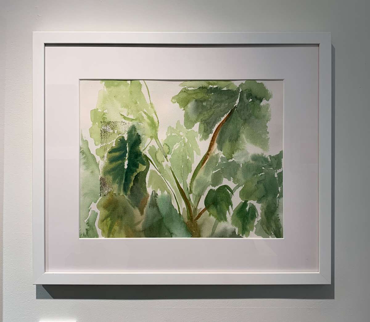 Cocoyam, Kate Kester by Betsy Jacaruso Gallery 