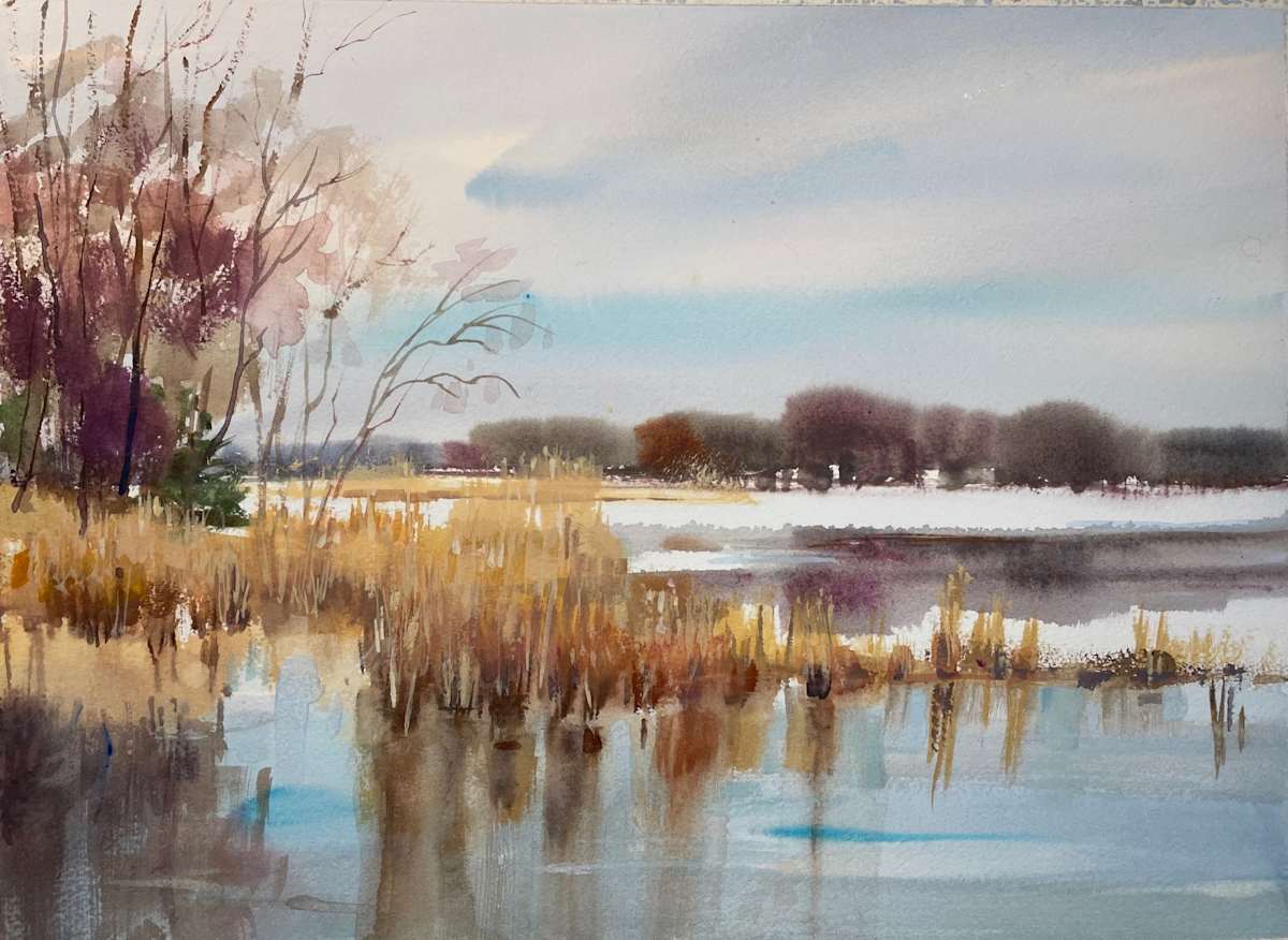 Vlei Marsh II by Betsy Jacaruso Gallery, Image 1.