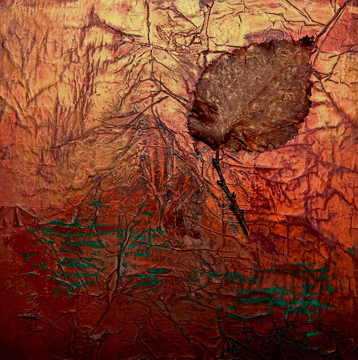 Nature series by Dee  Mostofi 