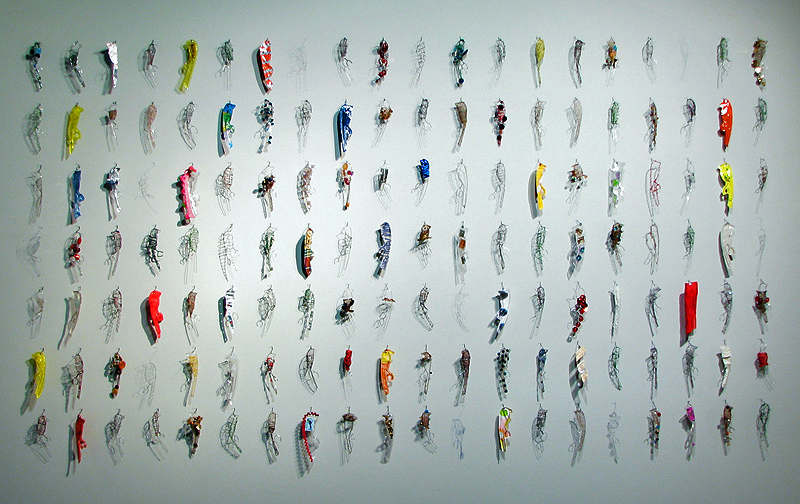 Variations Within a Species by Valerie Mann, Image 1.