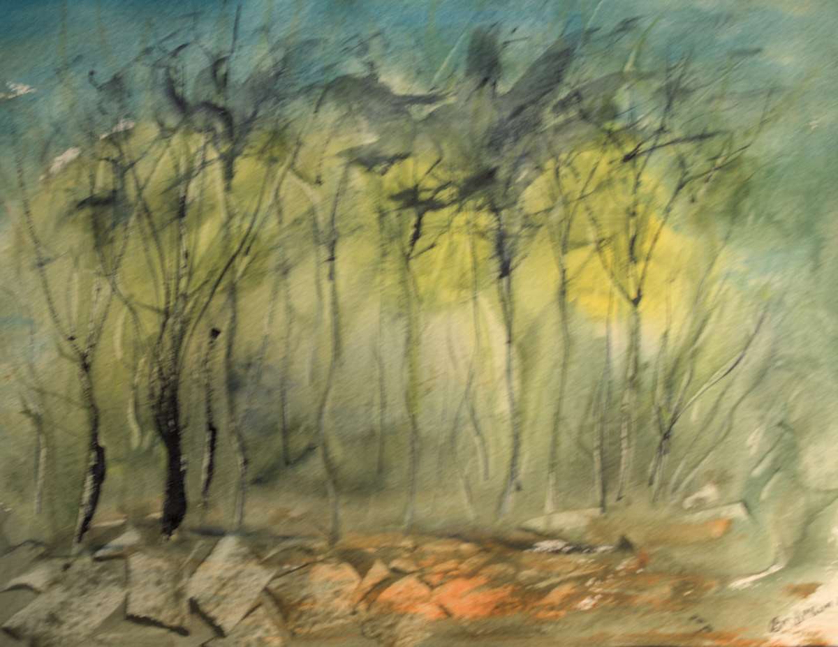 Back Lit Trees by Gregory Anderson 