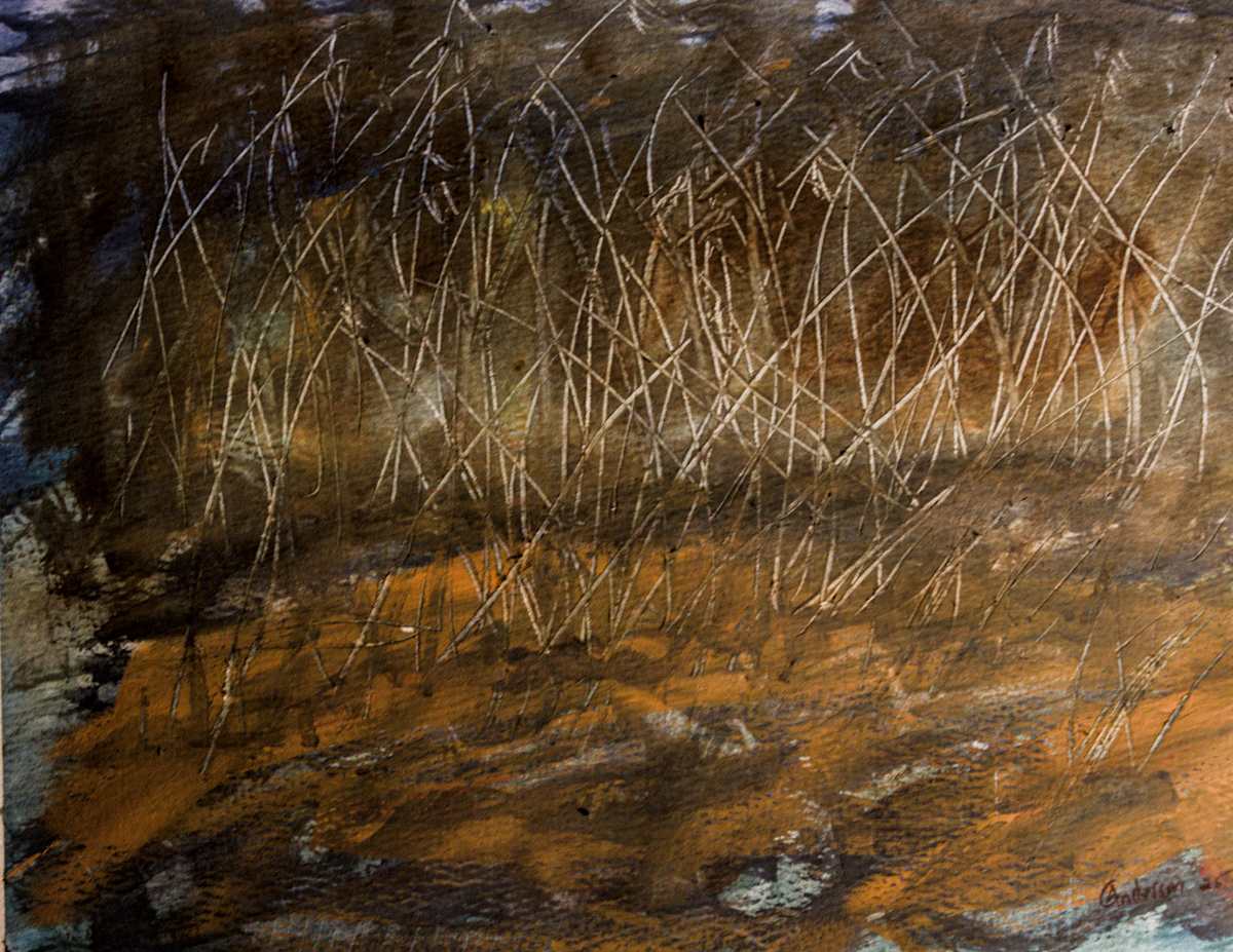 Marsh by Gregory Anderson 
