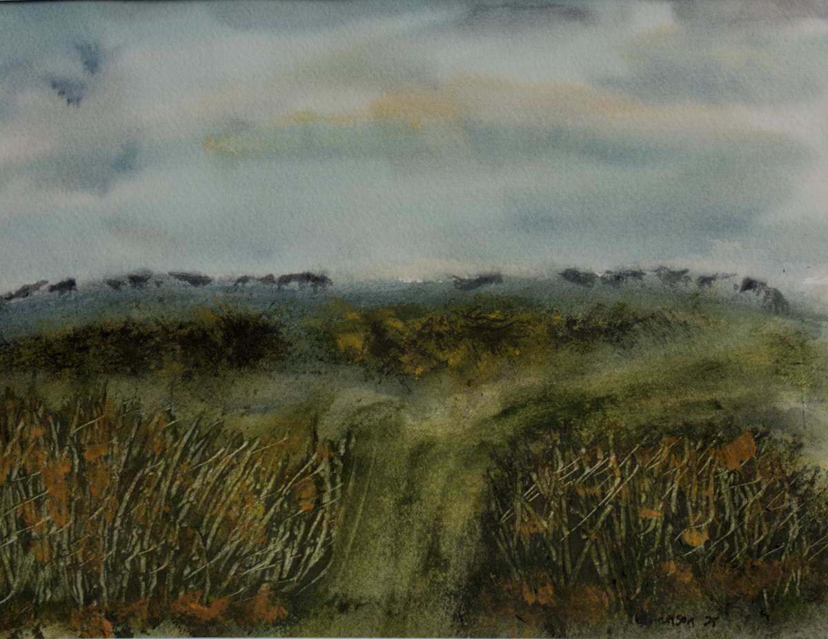 Grazing by Gregory Anderson 